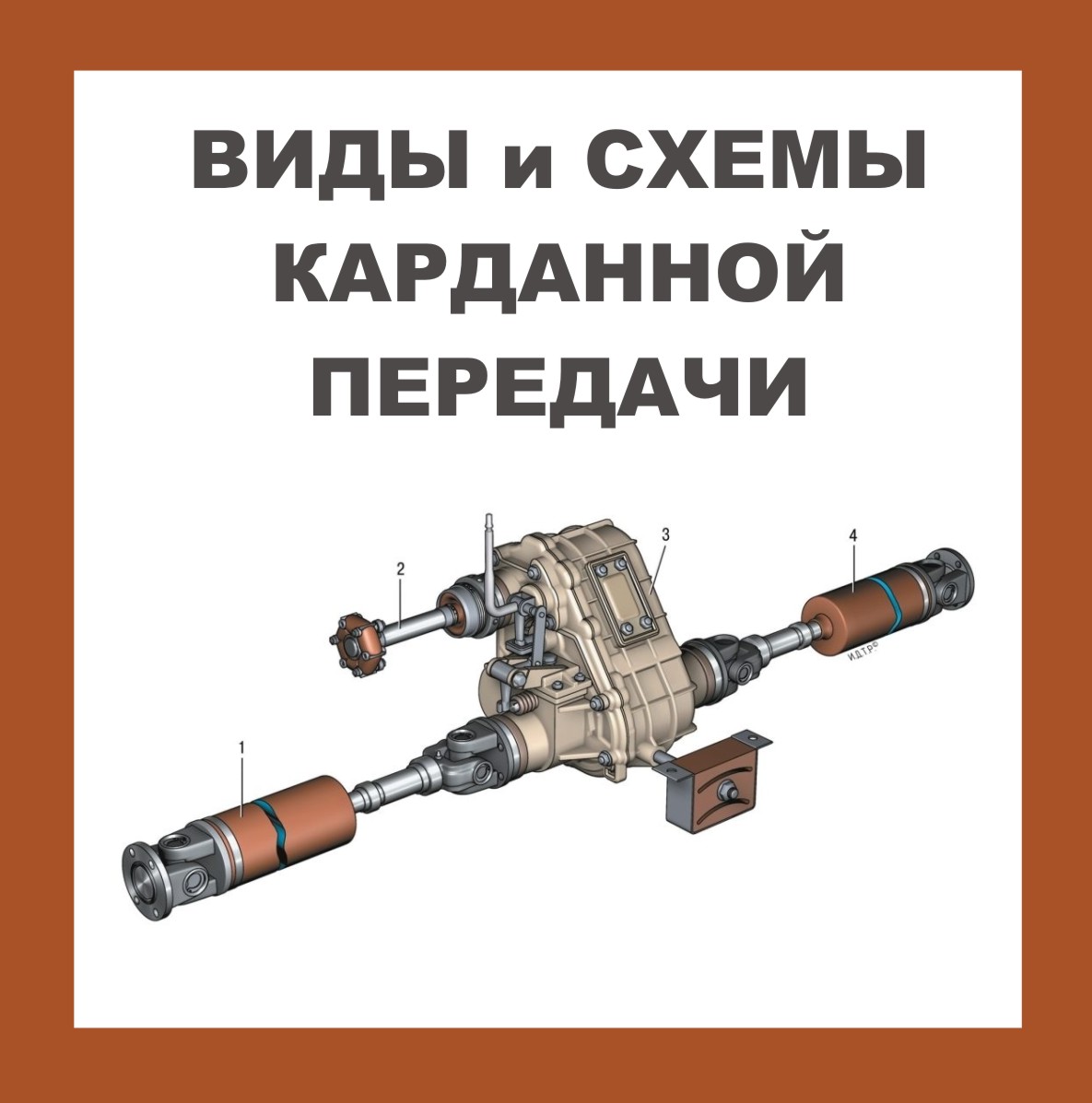 Карданная передача автомобиля – назначение, виды и схемы