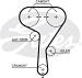 Ремень ГРМ CHEVROLET AVEO (T250 T255) 1.4 F14D4 Cruze 1.6 1.8 F18D4 OPEL Astra J 16 A16XER 2009- GAT !Распродажа